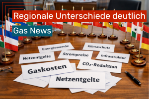Ein großer Holztisch ist mit kleinen Tischflaggen aller deutschen Bundesländer in einem Halbkreis dekoriert. In der Mitte liegen mehrere weiße Papierkarten mit Schlagworten wie „Netzentgelte“, „Gaskosten“, „Strompreise“, „Klimaschutz“ und „Infrastruktur“. Neben den Karten liegen ein Stift und eine Brille, im Hintergrund sind unscharf Stühle und ein Konferenzraum zu erkennen.