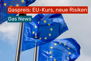 Mehrere EU-Flaggen wehen im Wind vor bewölktem Himmel.